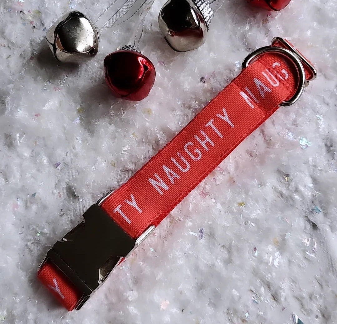 I've Been Naughty Dog Collar