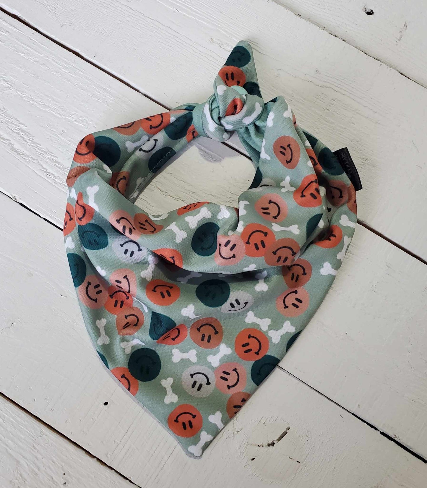 Sage Smiles Bandana