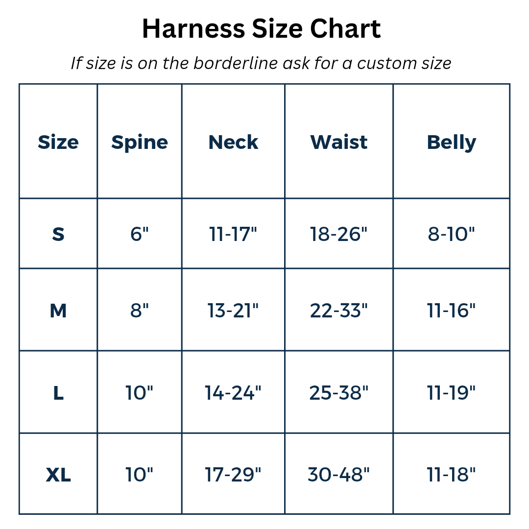 Choose Your Colors Walking Harness