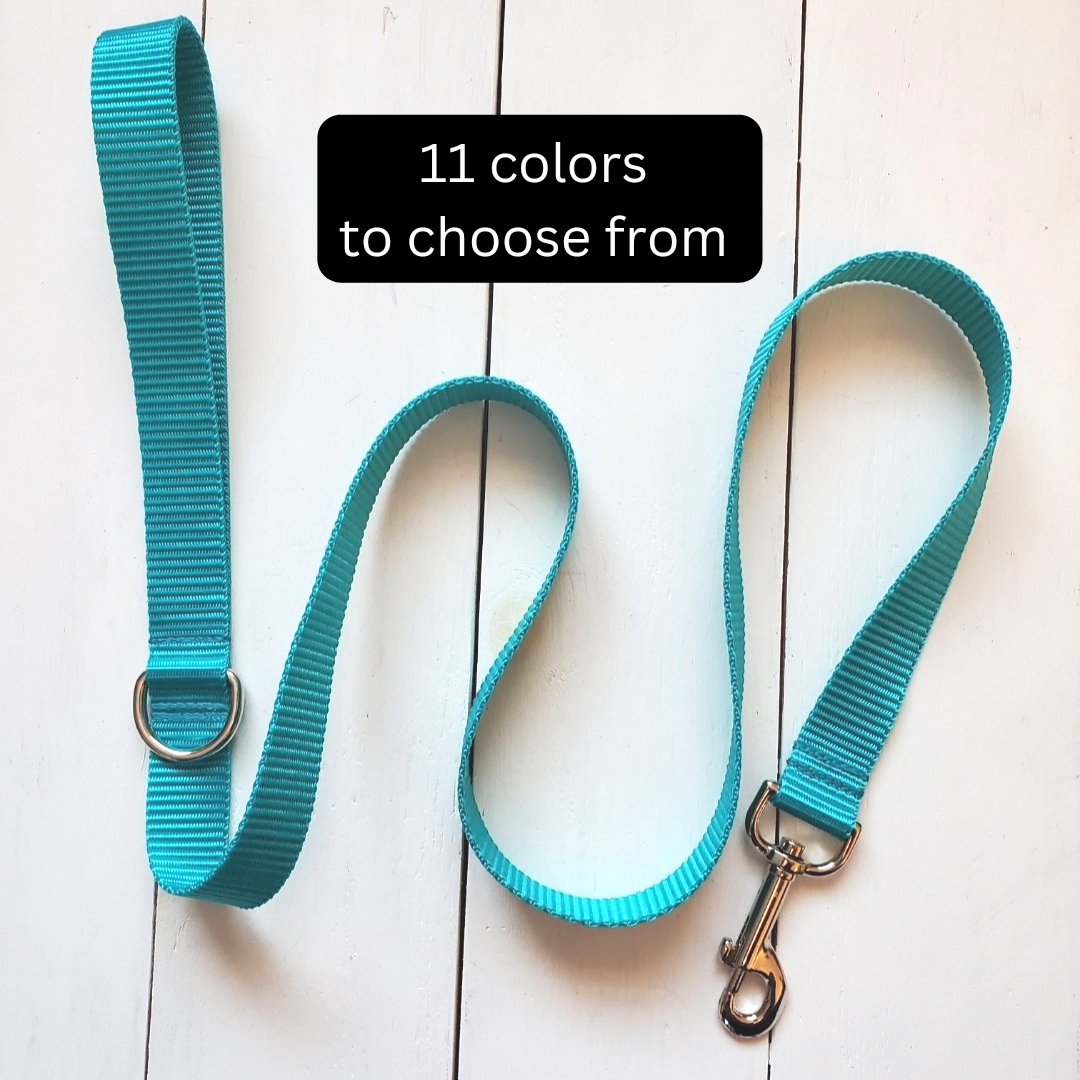 5ft Vibrant Leash - no fabric just vibrant colored webbing!