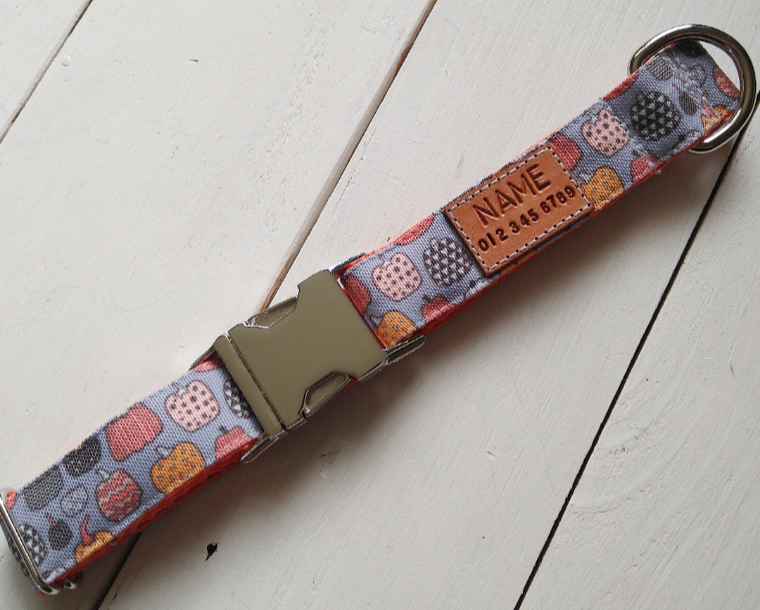 Tiny Pumpkins Dog Collar