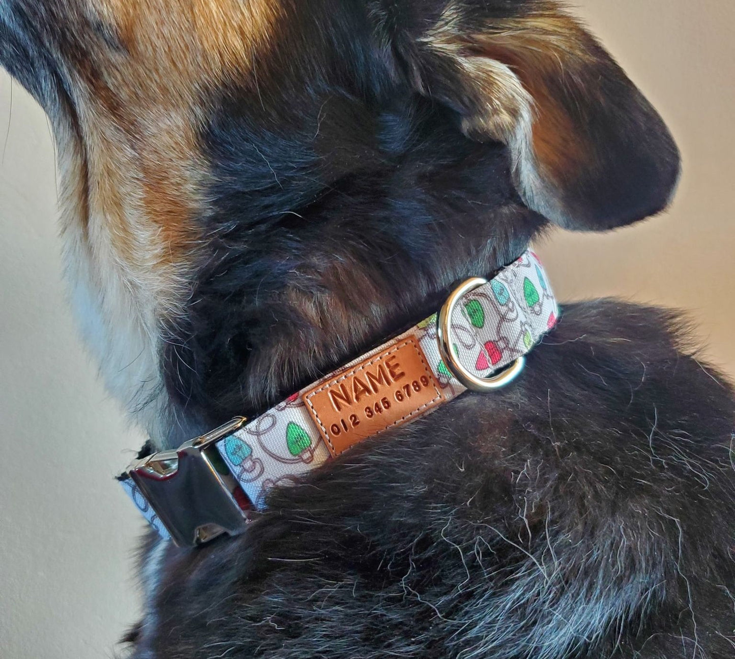 Colored Lights Dog Collar