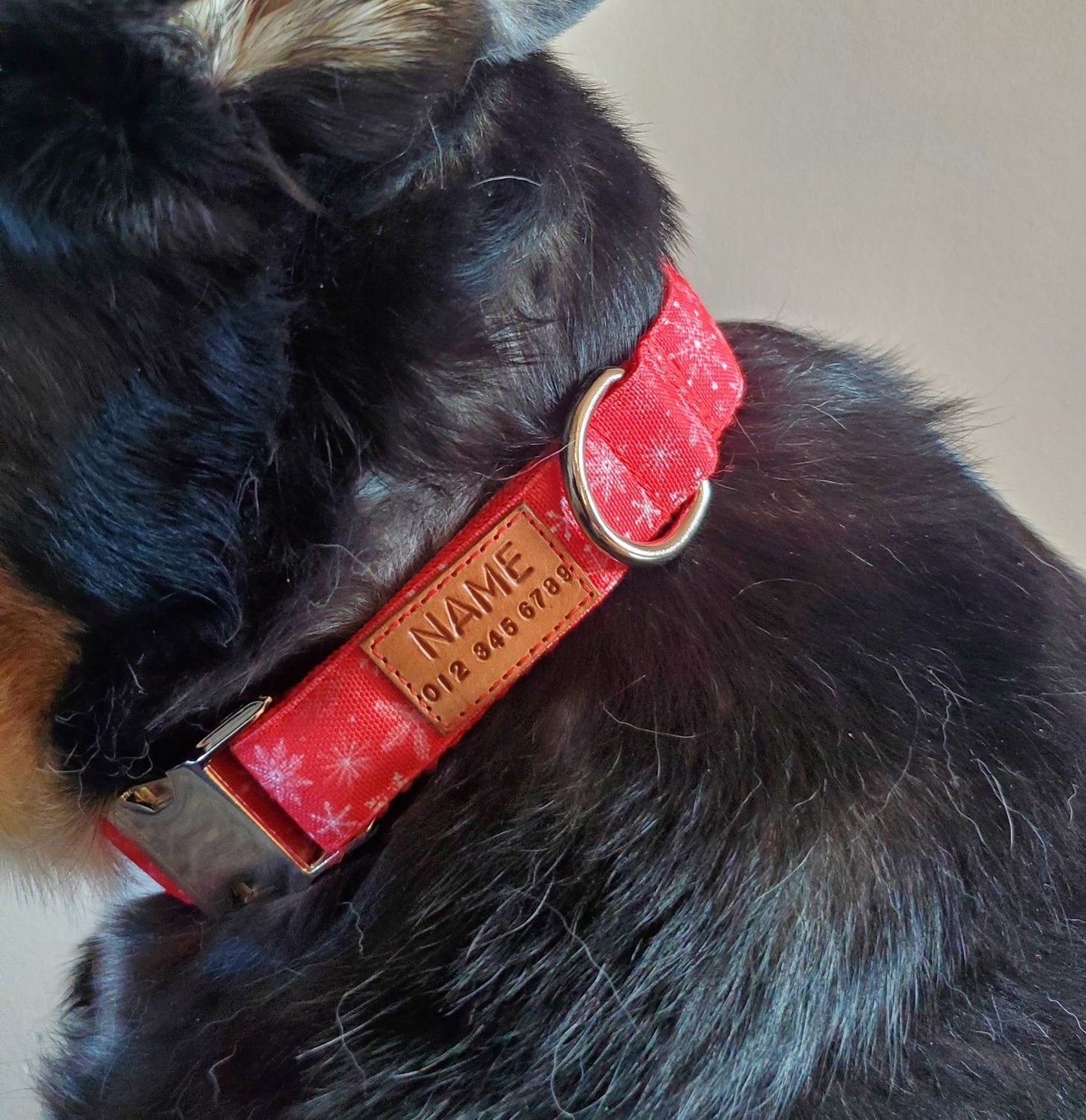 Snowflakes on Red Dog Collar