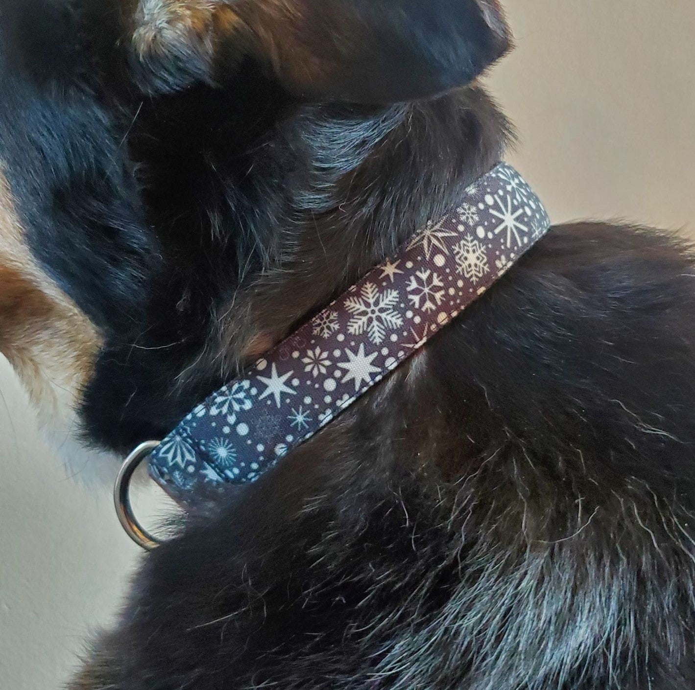 Snowflakes on Black Dog Collar