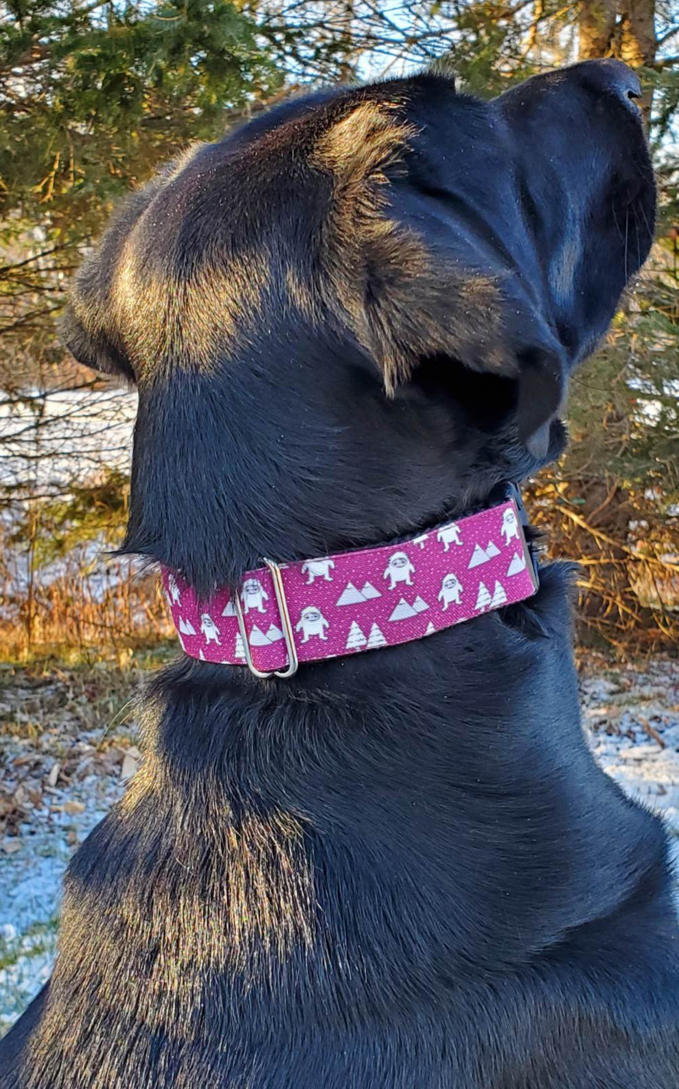 Mountain Yeti Dog Collar