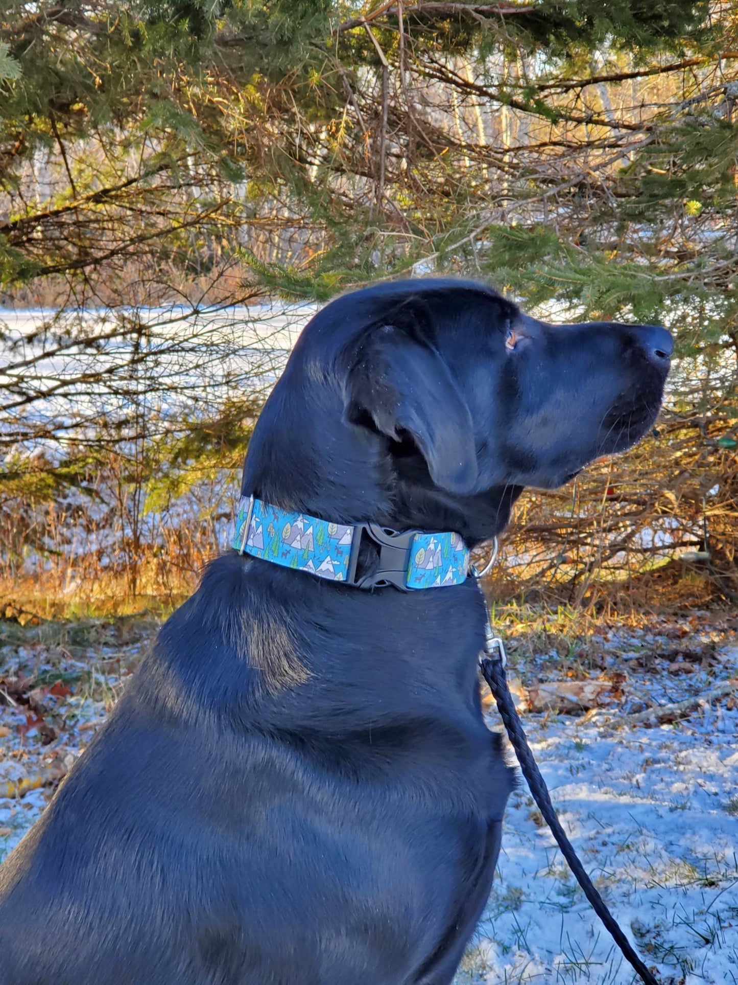 Moose N' Mountains Dog Collar