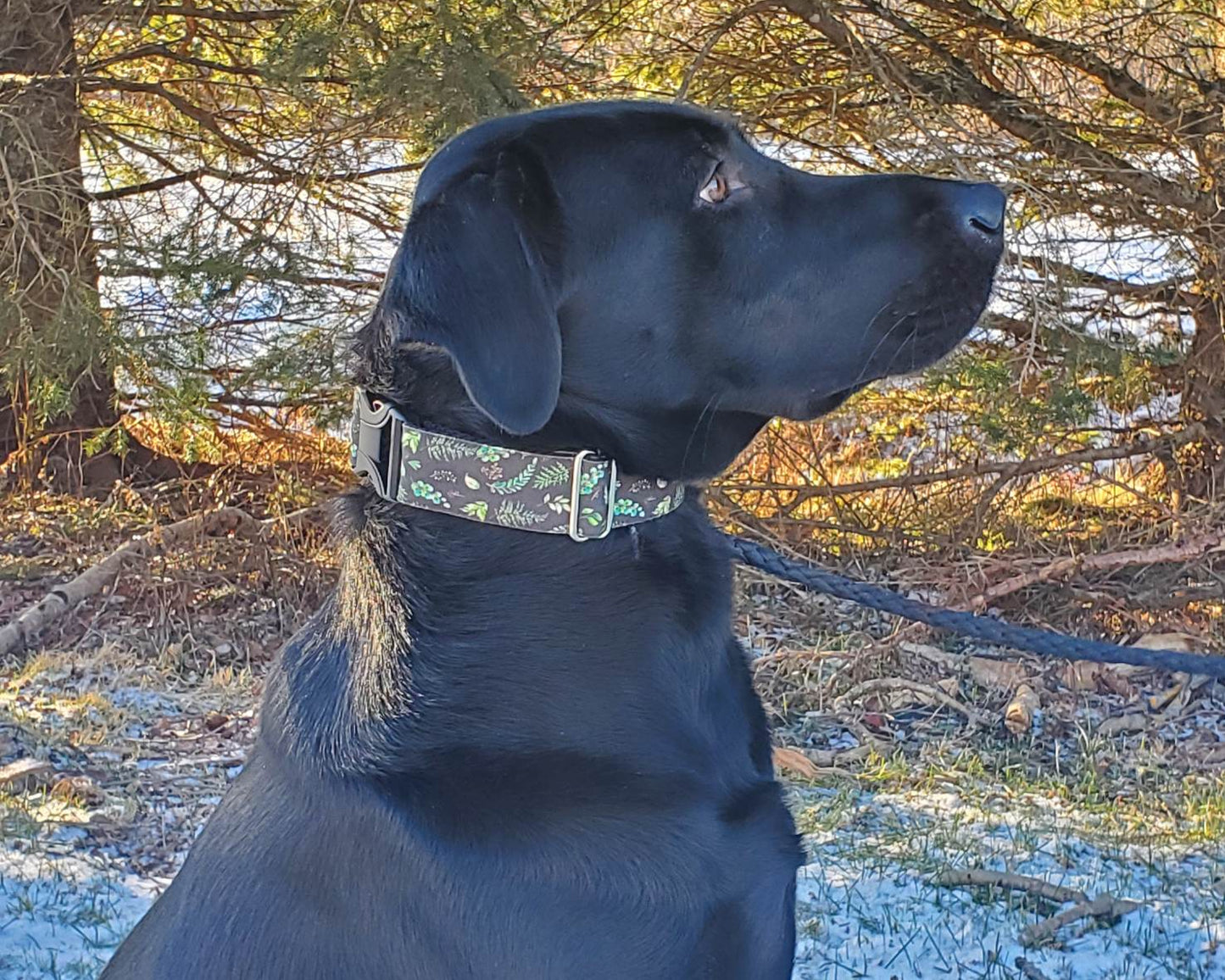 Dark Foliage Dog Collar