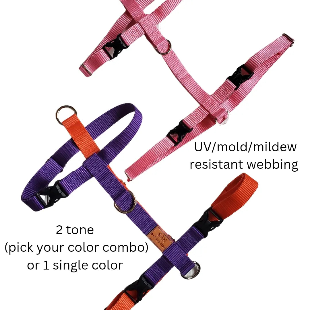 Choose Your Colors Walking Harness