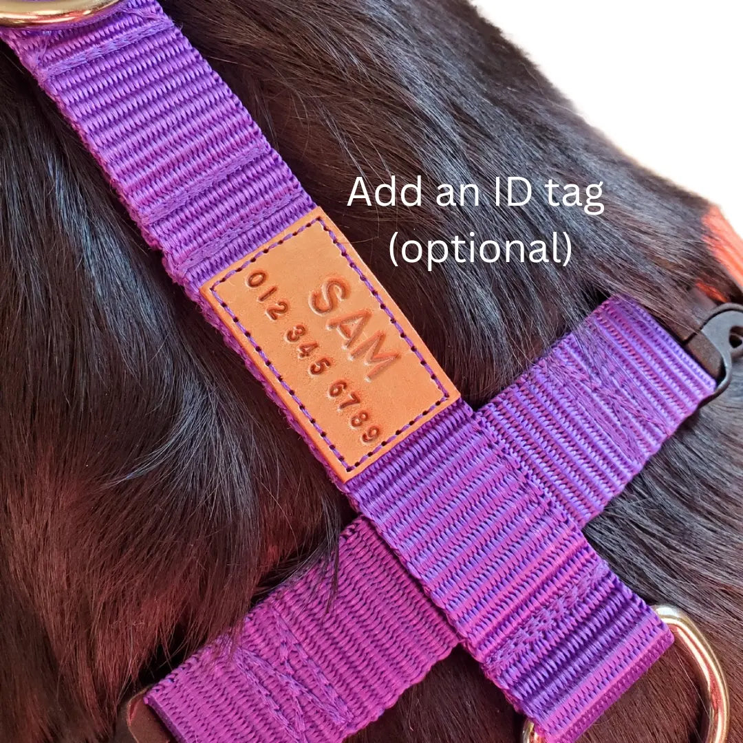 Choose Your Colors Walking Harness