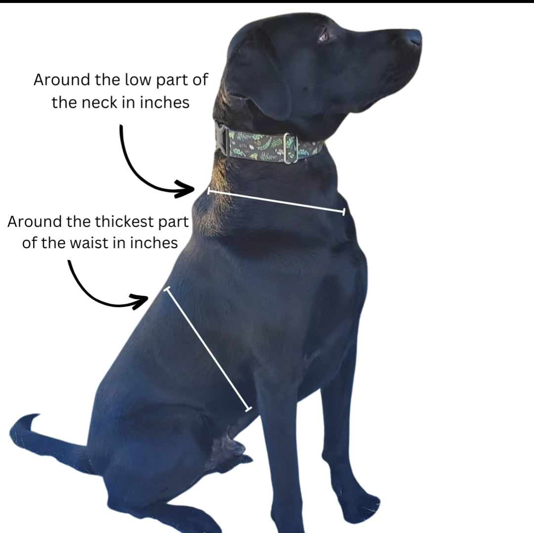 Choose Your Colors Walking Harness