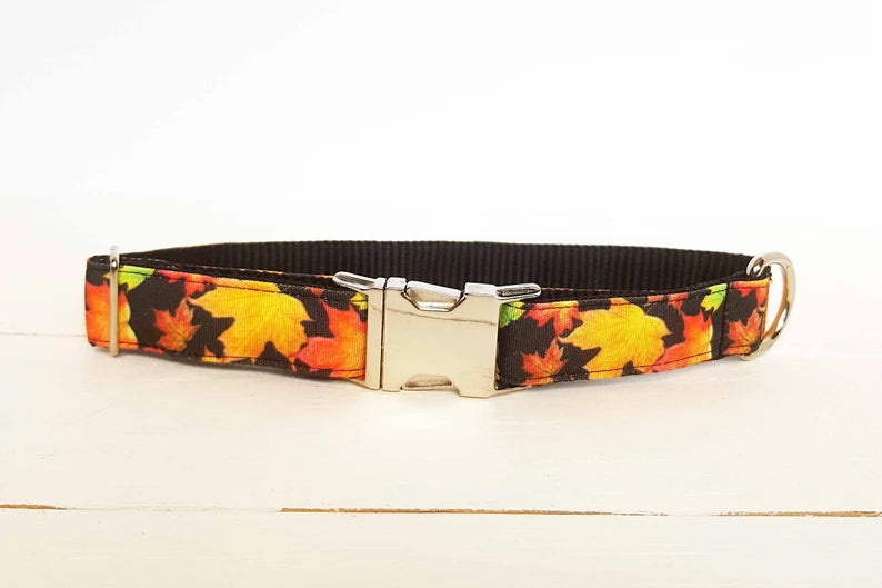Maple Leaf Dog Collar