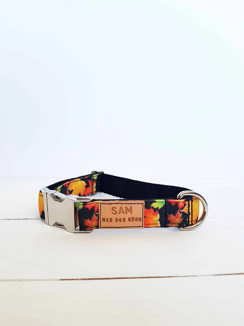 Maple Leaf Dog Collar