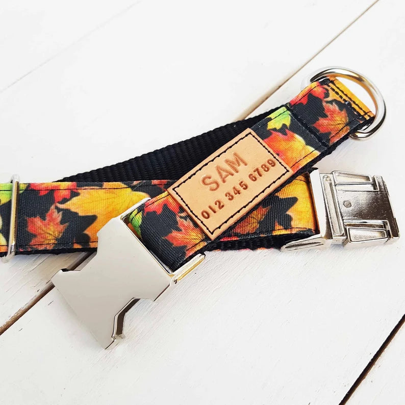 Maple Leaf Dog Collar
