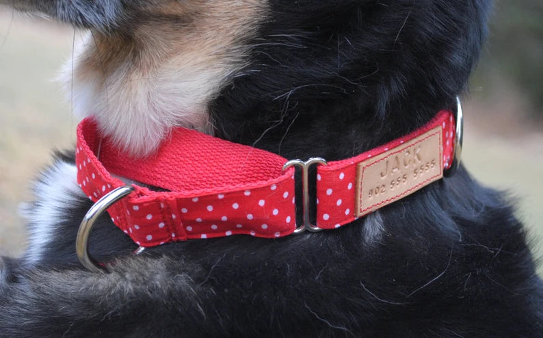 Martingale Collar Upgrade