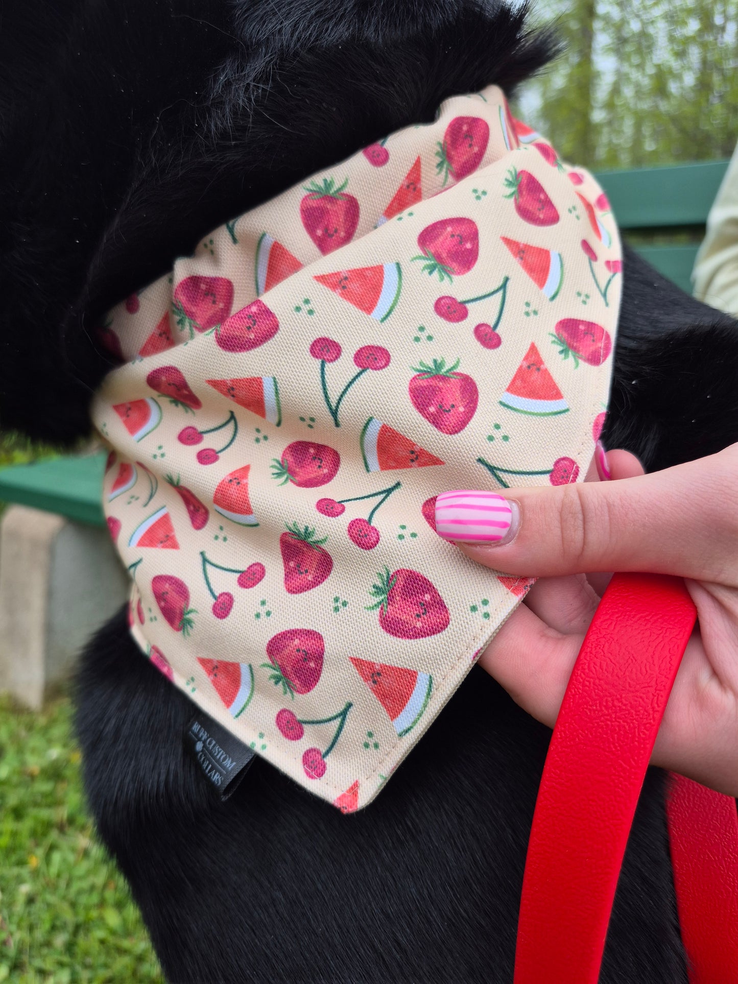 Summer Fruits Slip-On Bandana