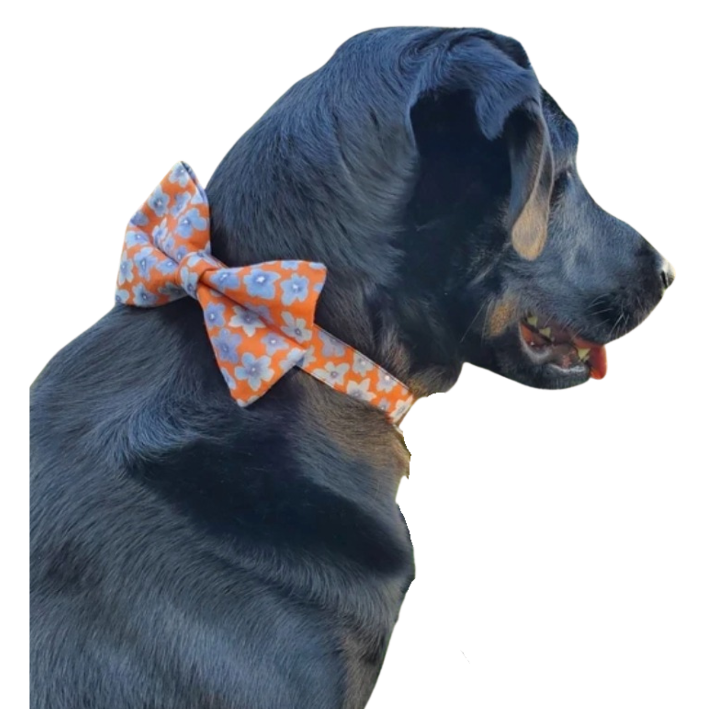 Indigo Floral Over-the-collar Bowtie