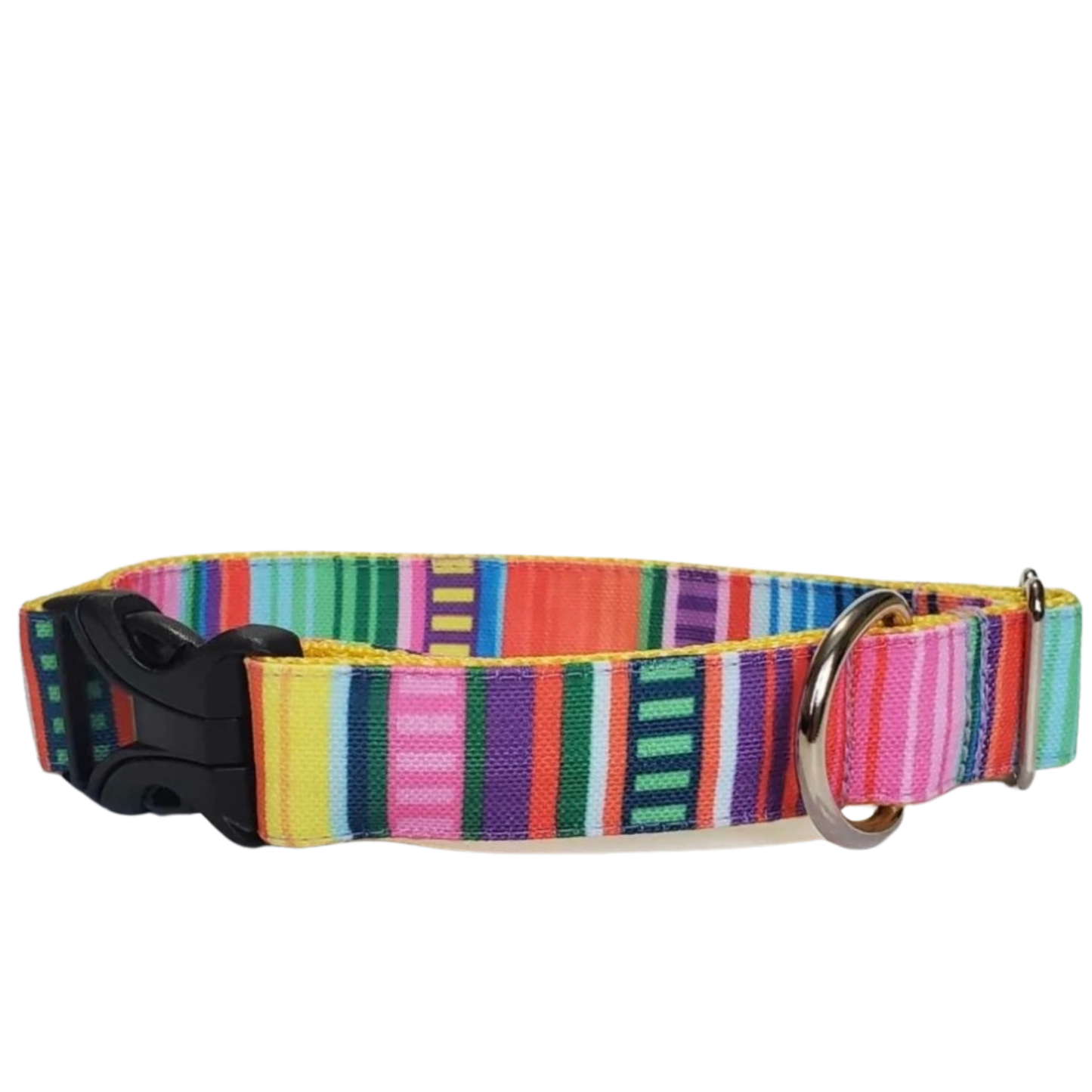 Bright Stripes Dog Collar