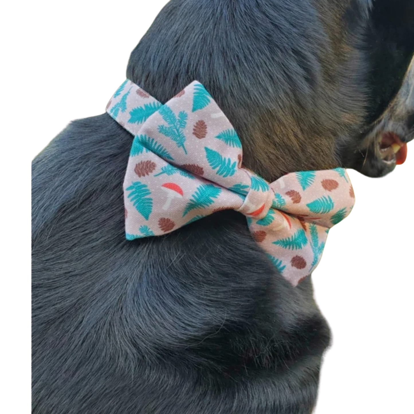 Mushrooms & Pine Over-the-collar Bowtie