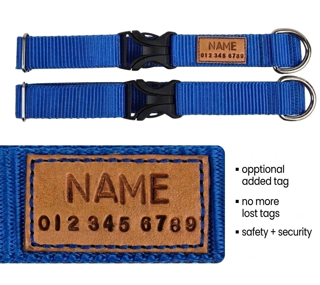 Hearts on Light Blue Dog Collar