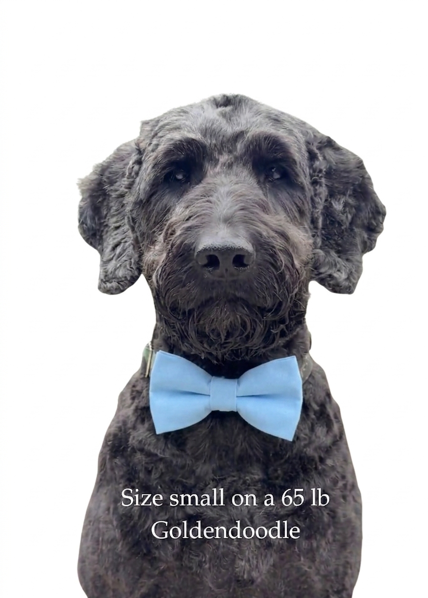 Teddy Bears Over-the-collar Bowtie