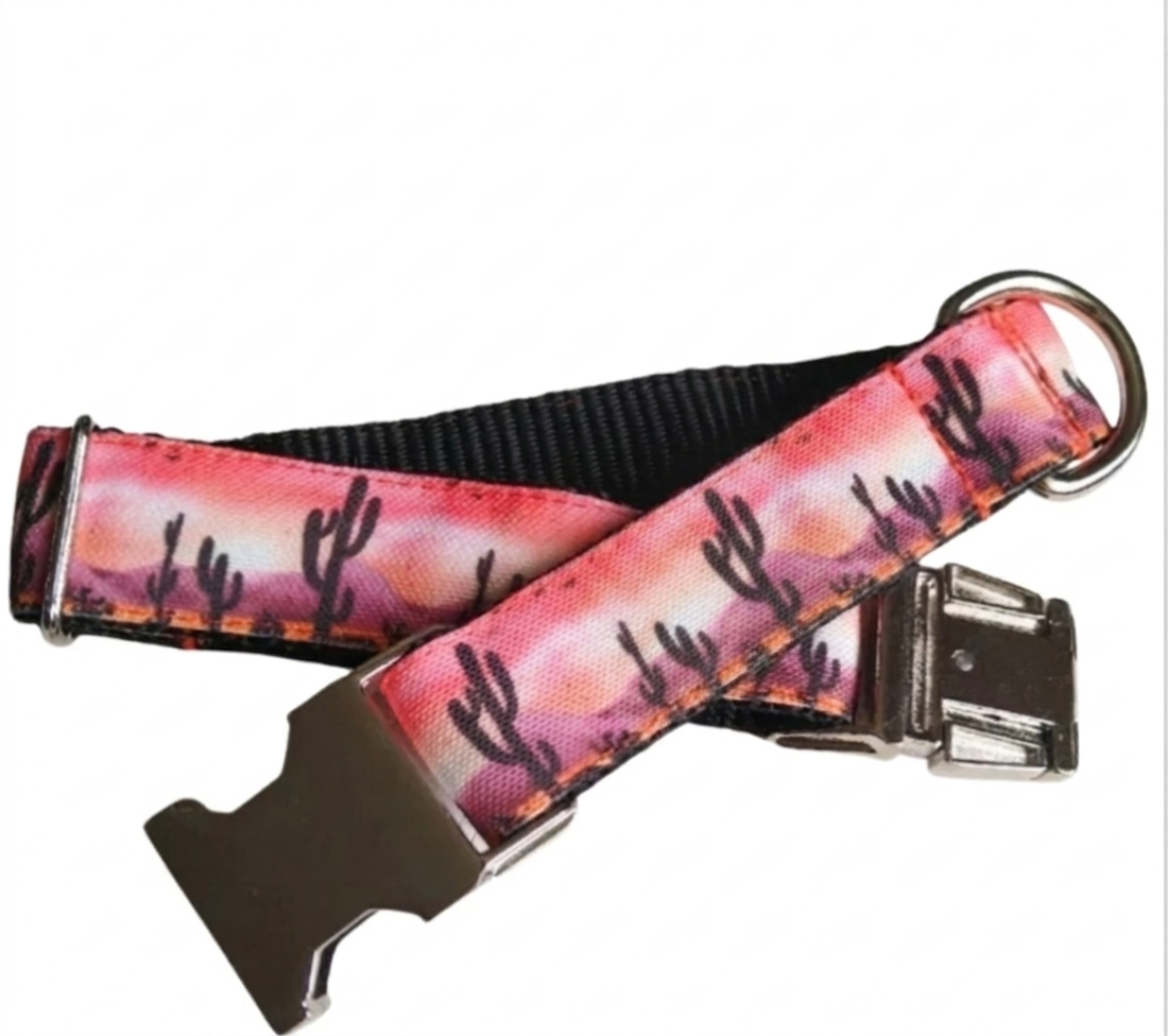Canyon Sunset Dog Collar