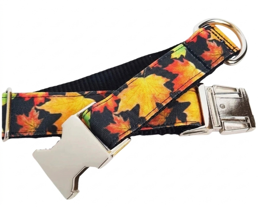 Maple Leaf Dog Collar