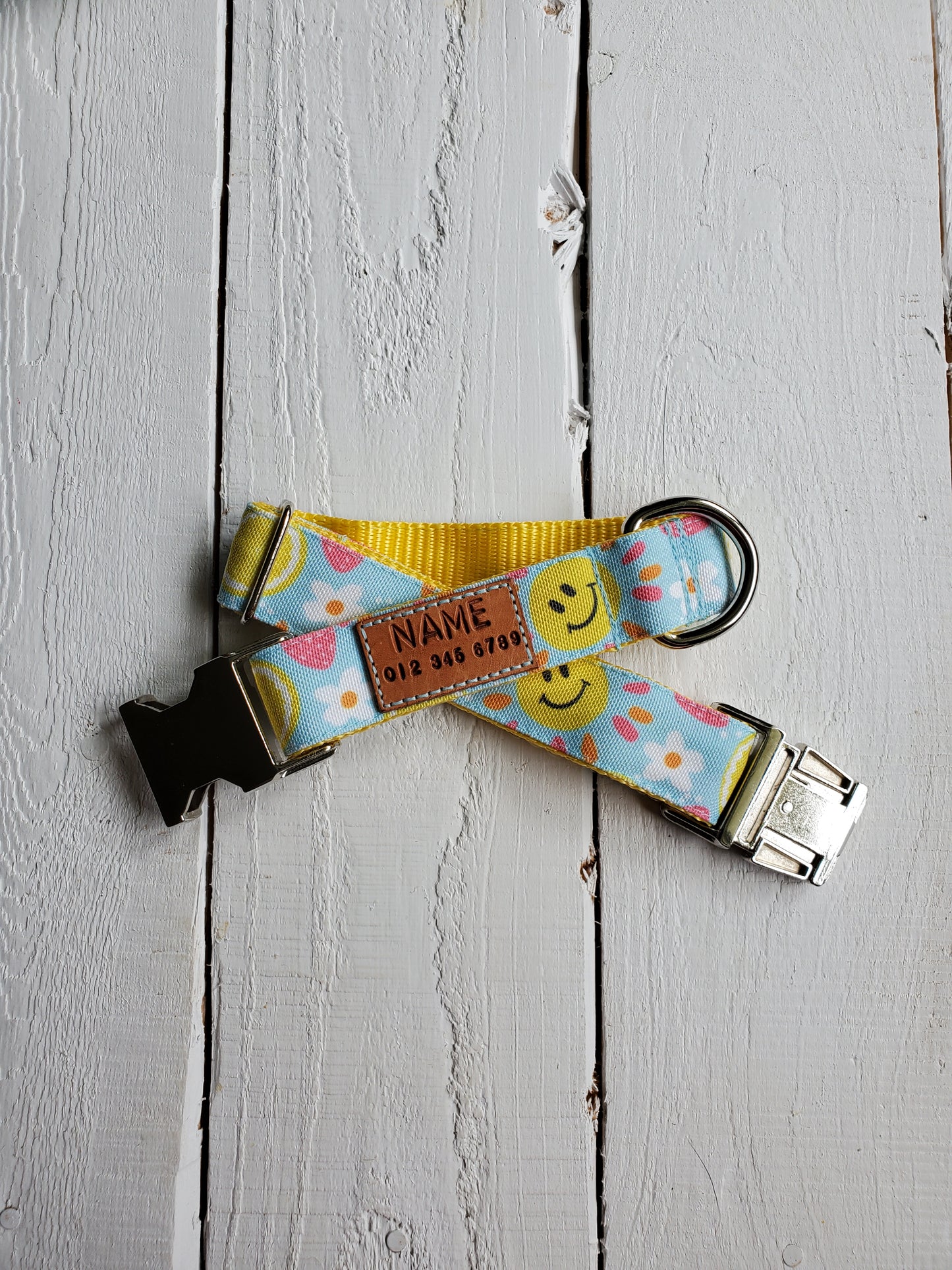 Summer Vibes dog collar