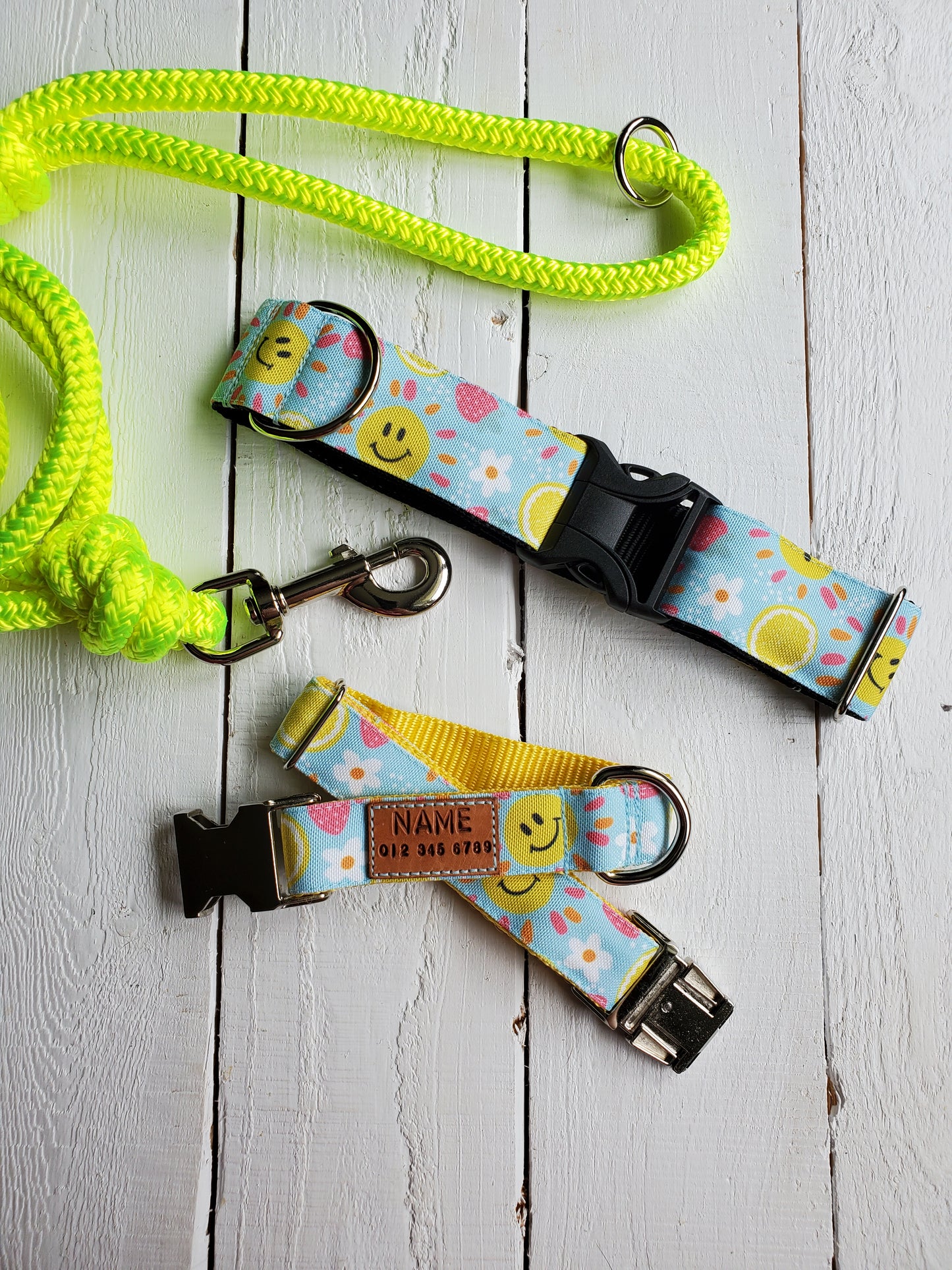 Summer Vibes dog collar