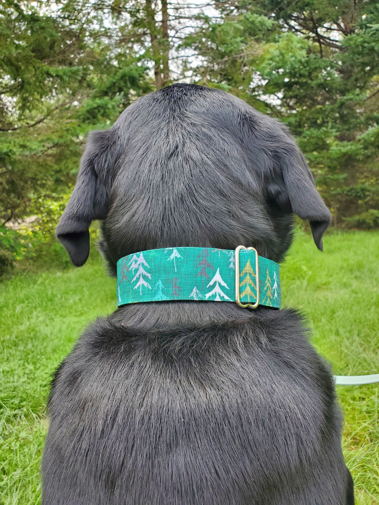 Green Forest dog collar