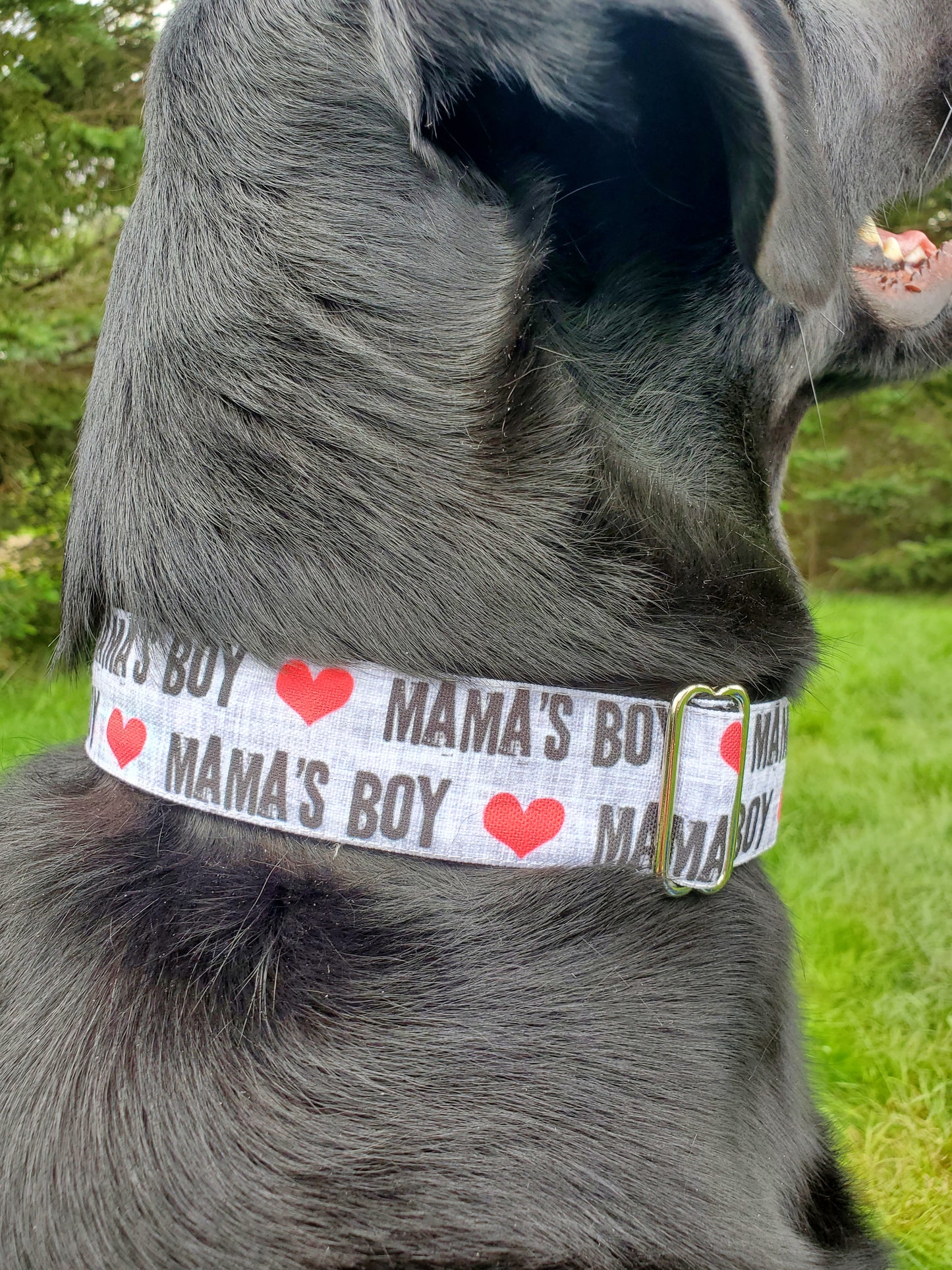 Mama's Boy dog collar