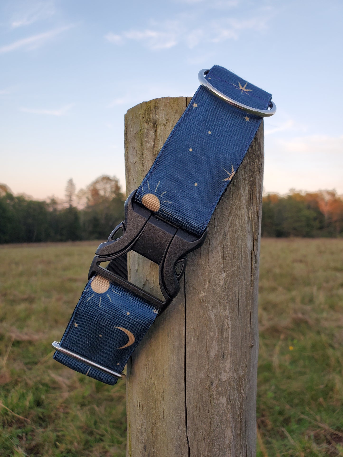 Night Sky dog collar