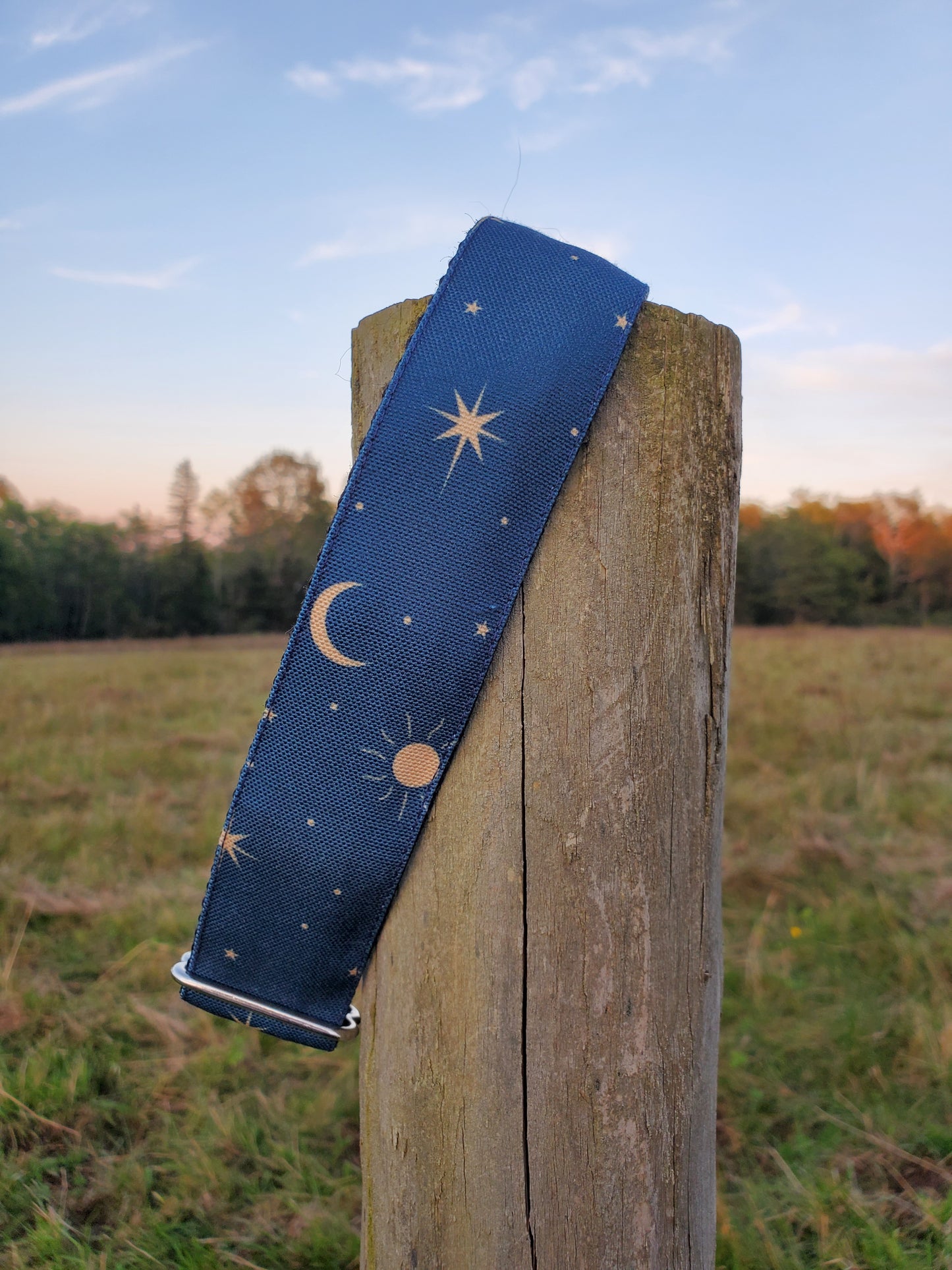 Night Sky dog collar