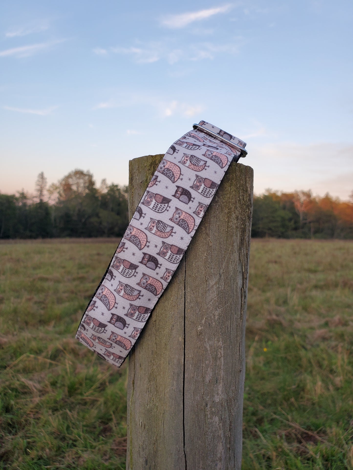 Gray Owls dog collar