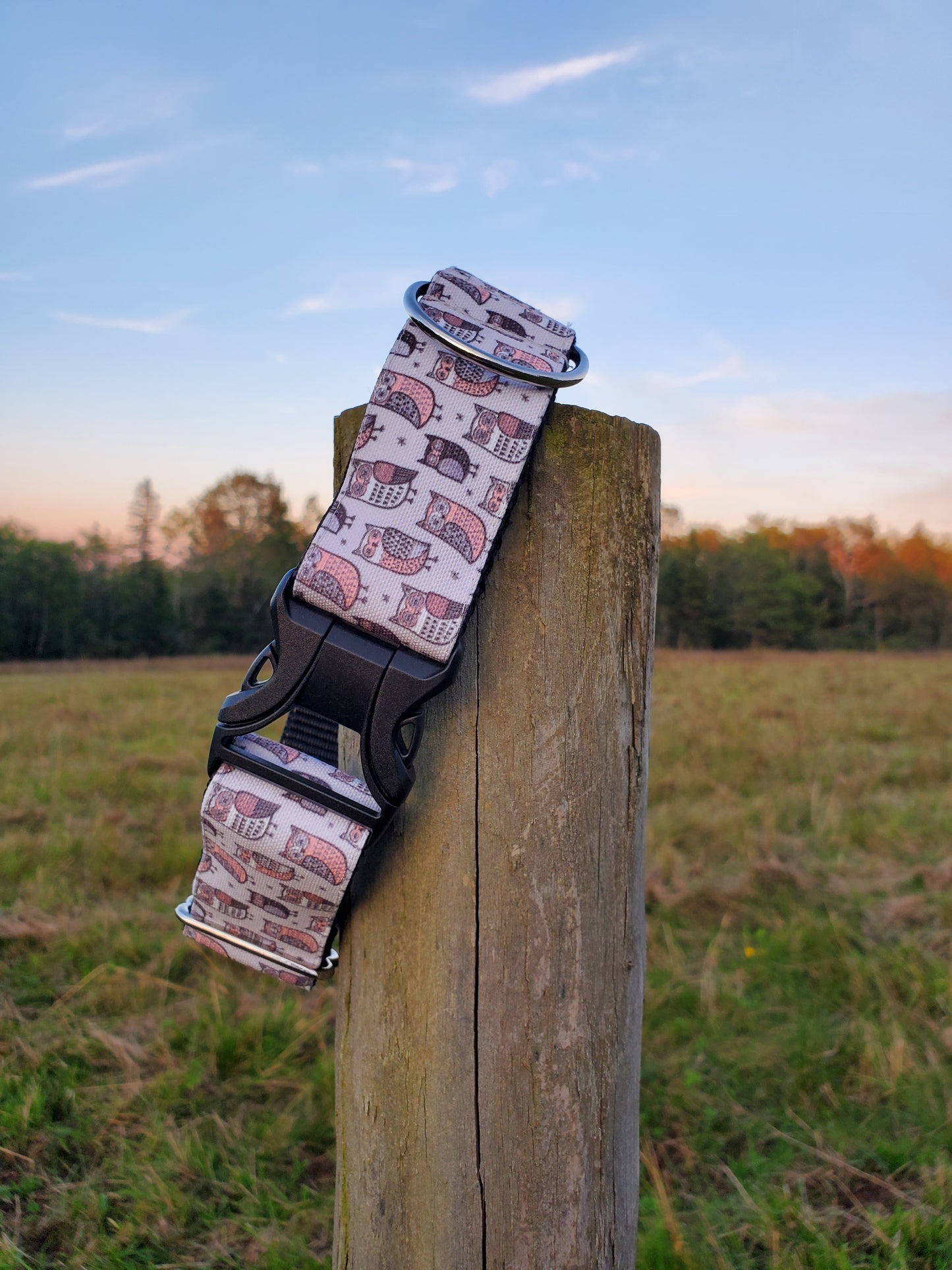 Gray Owls dog collar