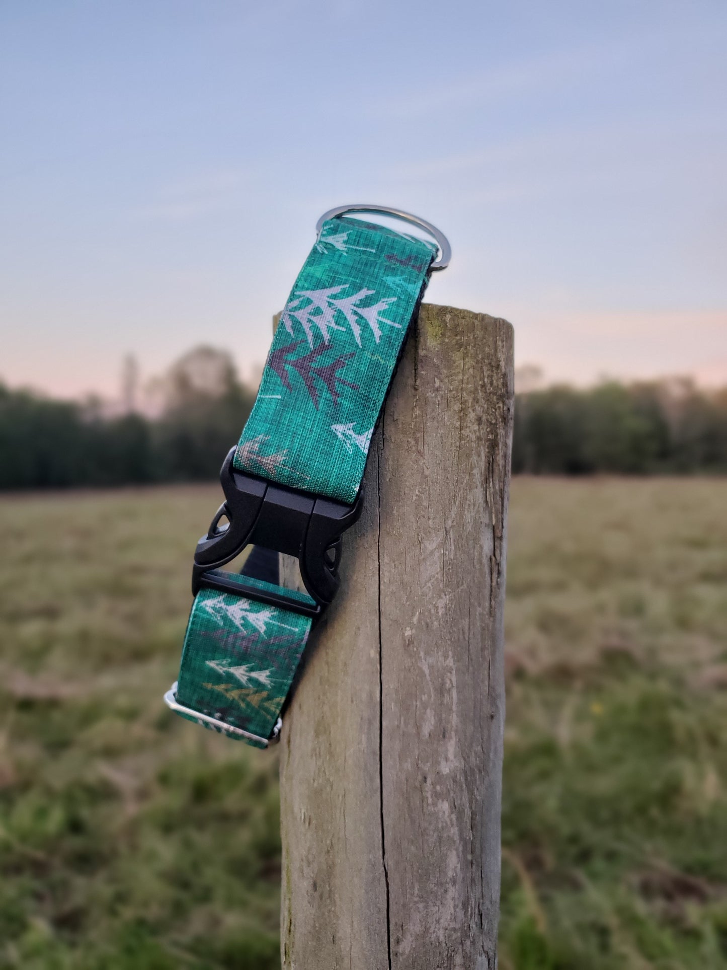 Green Forest dog collar