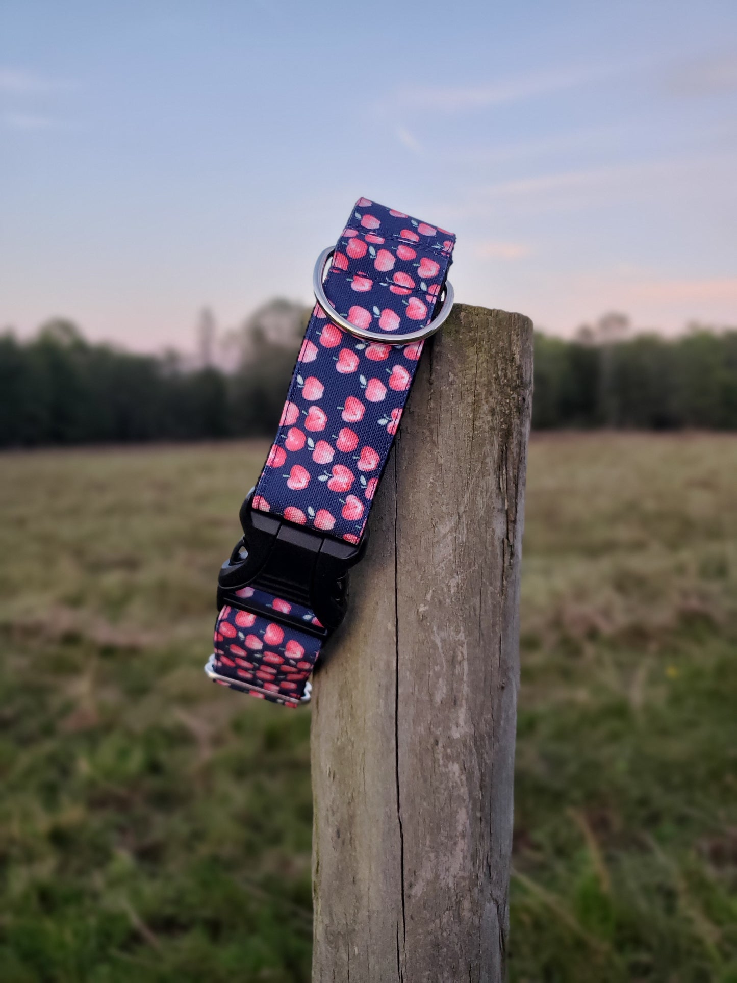 Red Apples dog collar