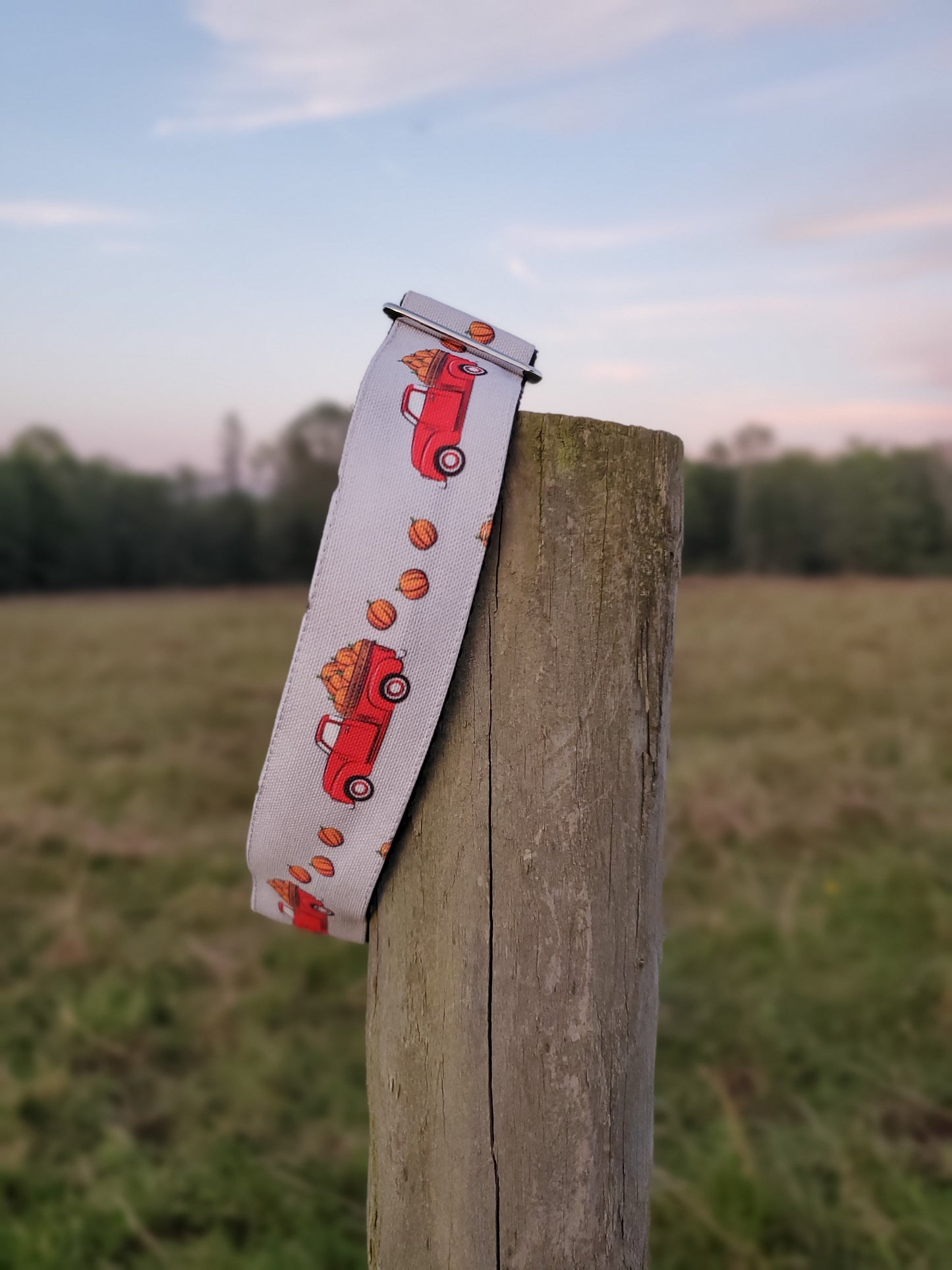 Red Trucks & Pumpkins dog collar