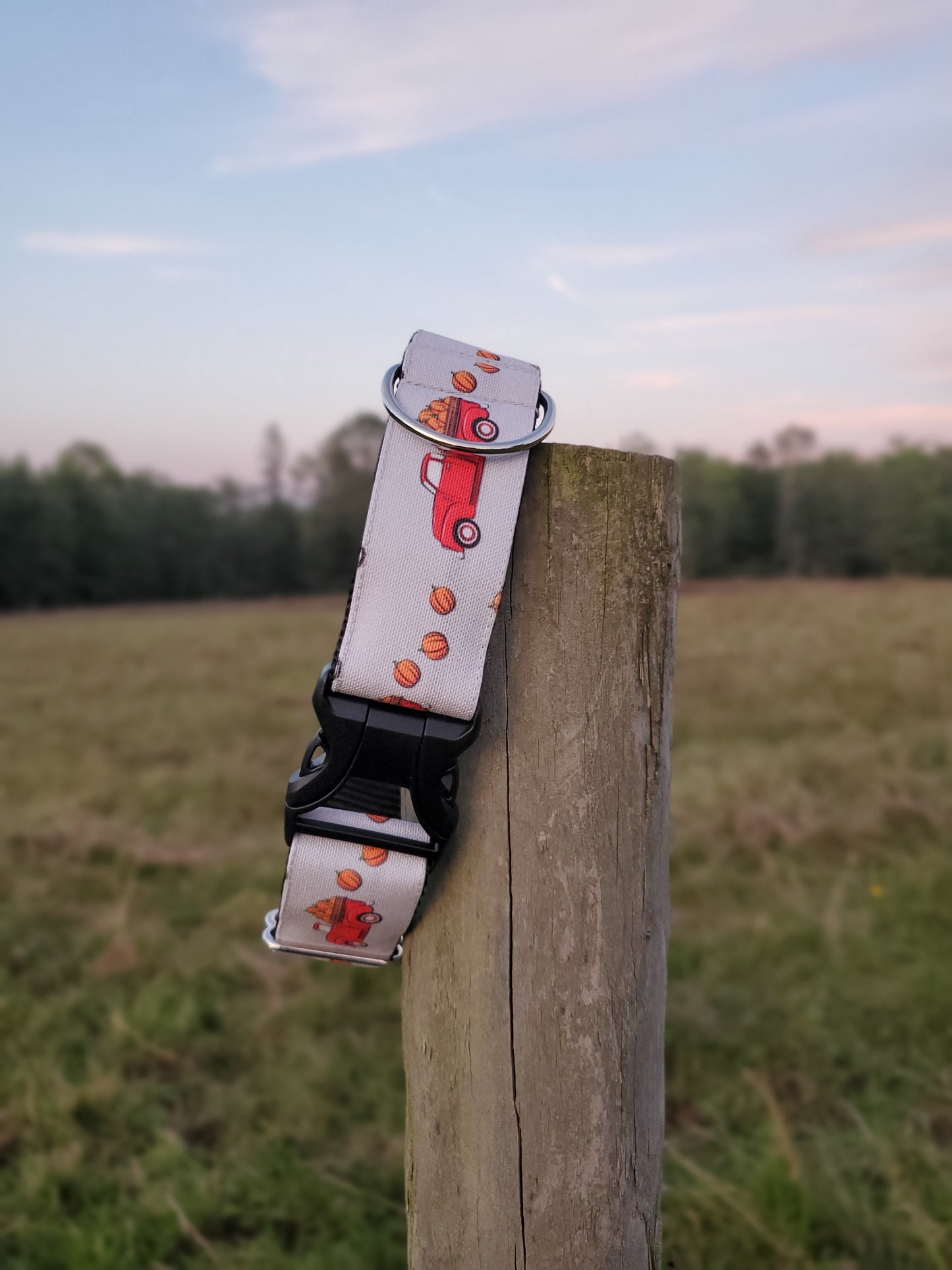 Red Trucks & Pumpkins dog collar