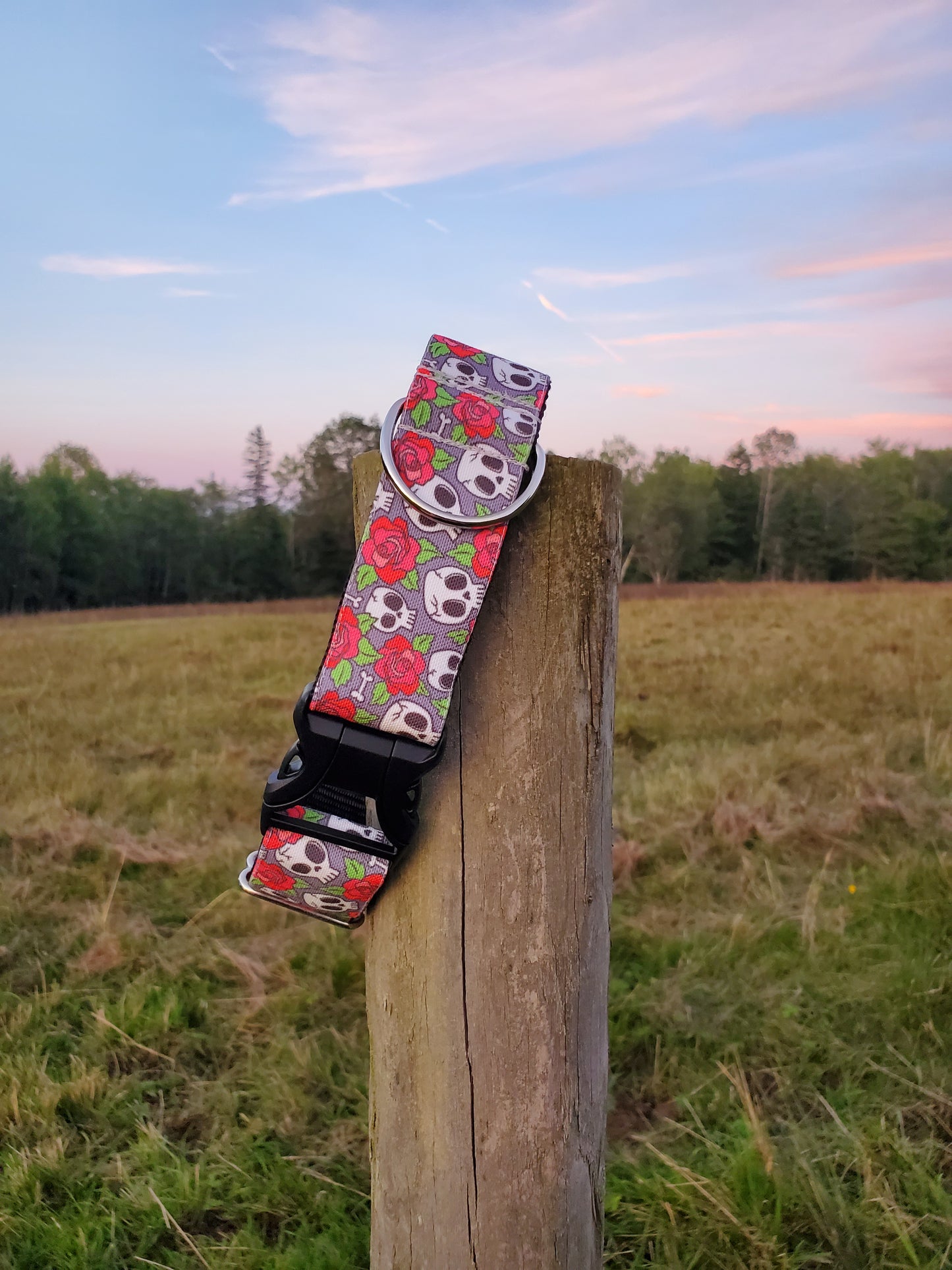 Skulls & Roses dog collar