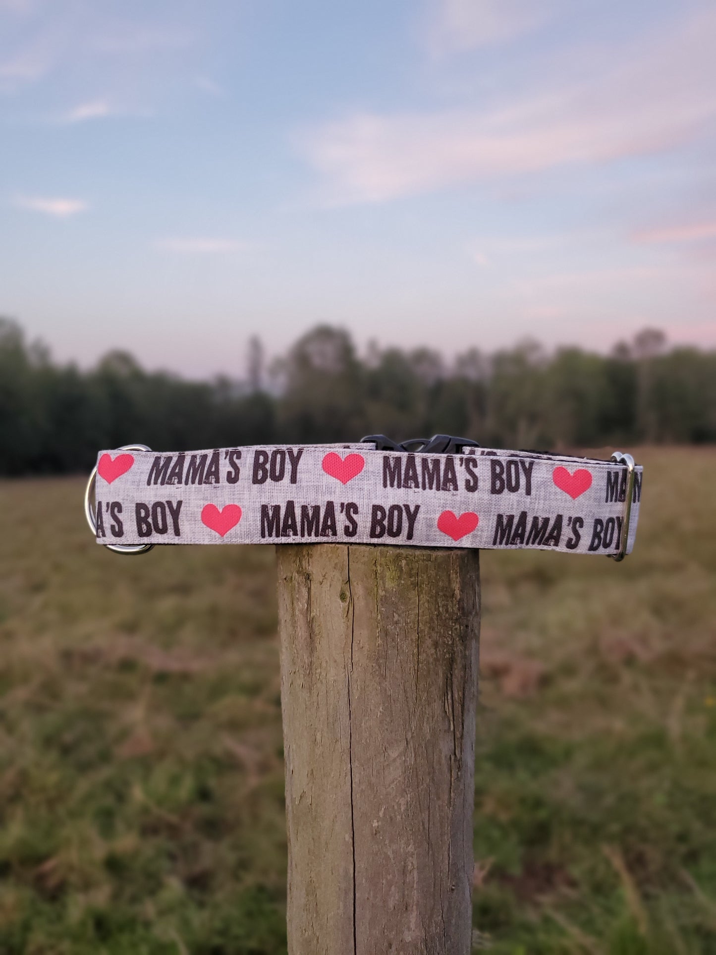 Mama's Boy dog collar