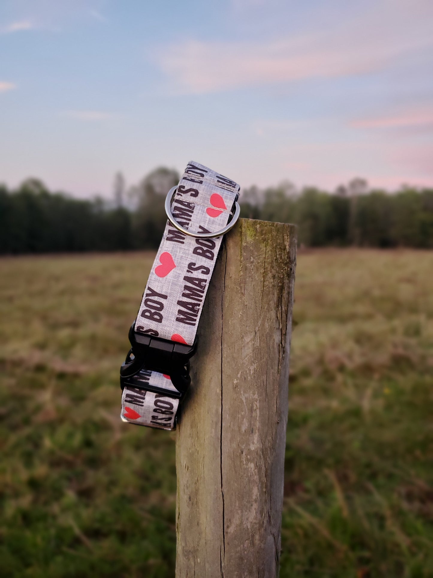 Mama's Boy dog collar