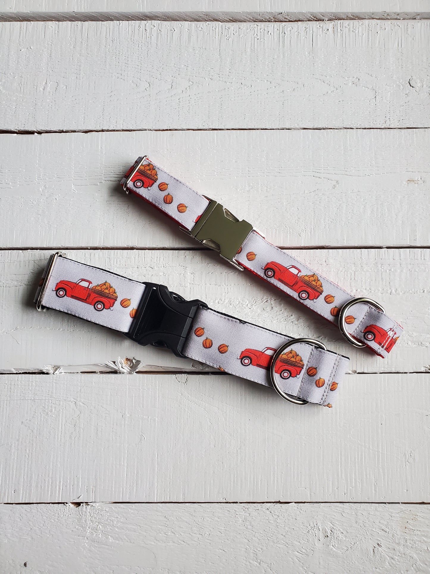 Red Trucks & Pumpkins dog collar