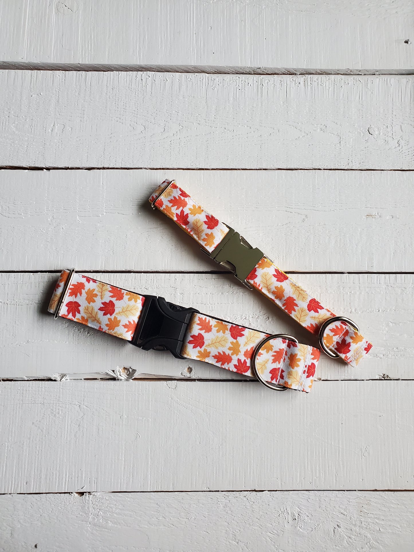 Falling Leaves dog collar