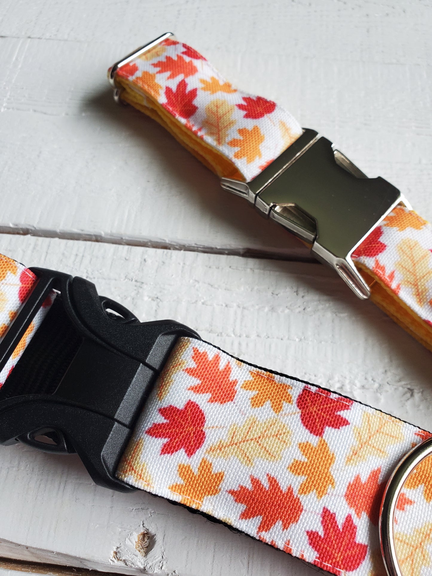 Falling Leaves dog collar