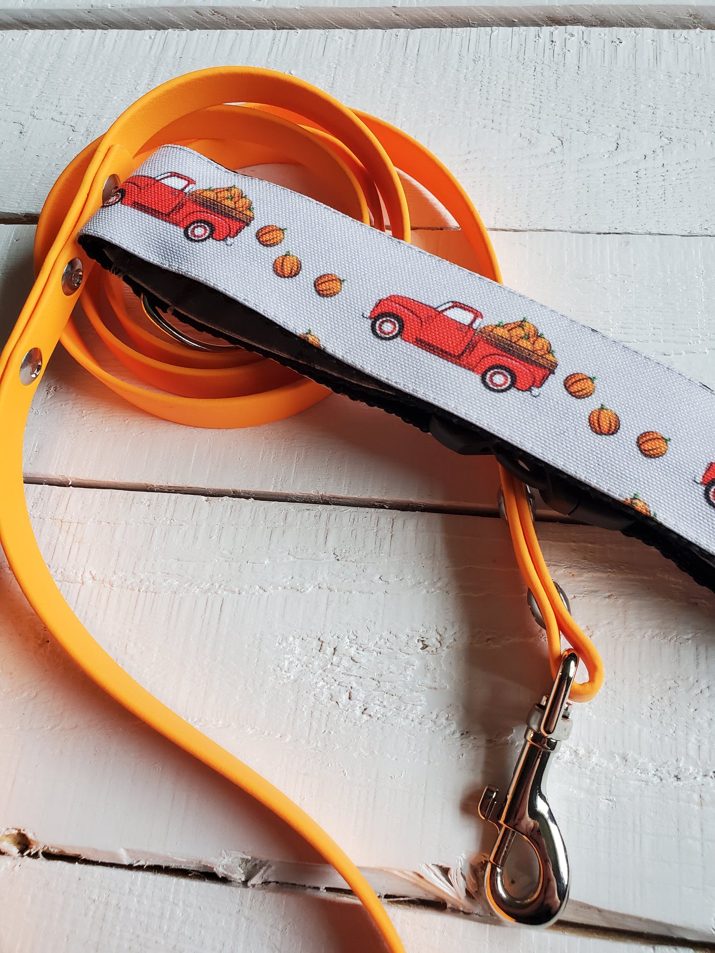 Red Trucks & Pumpkins dog collar