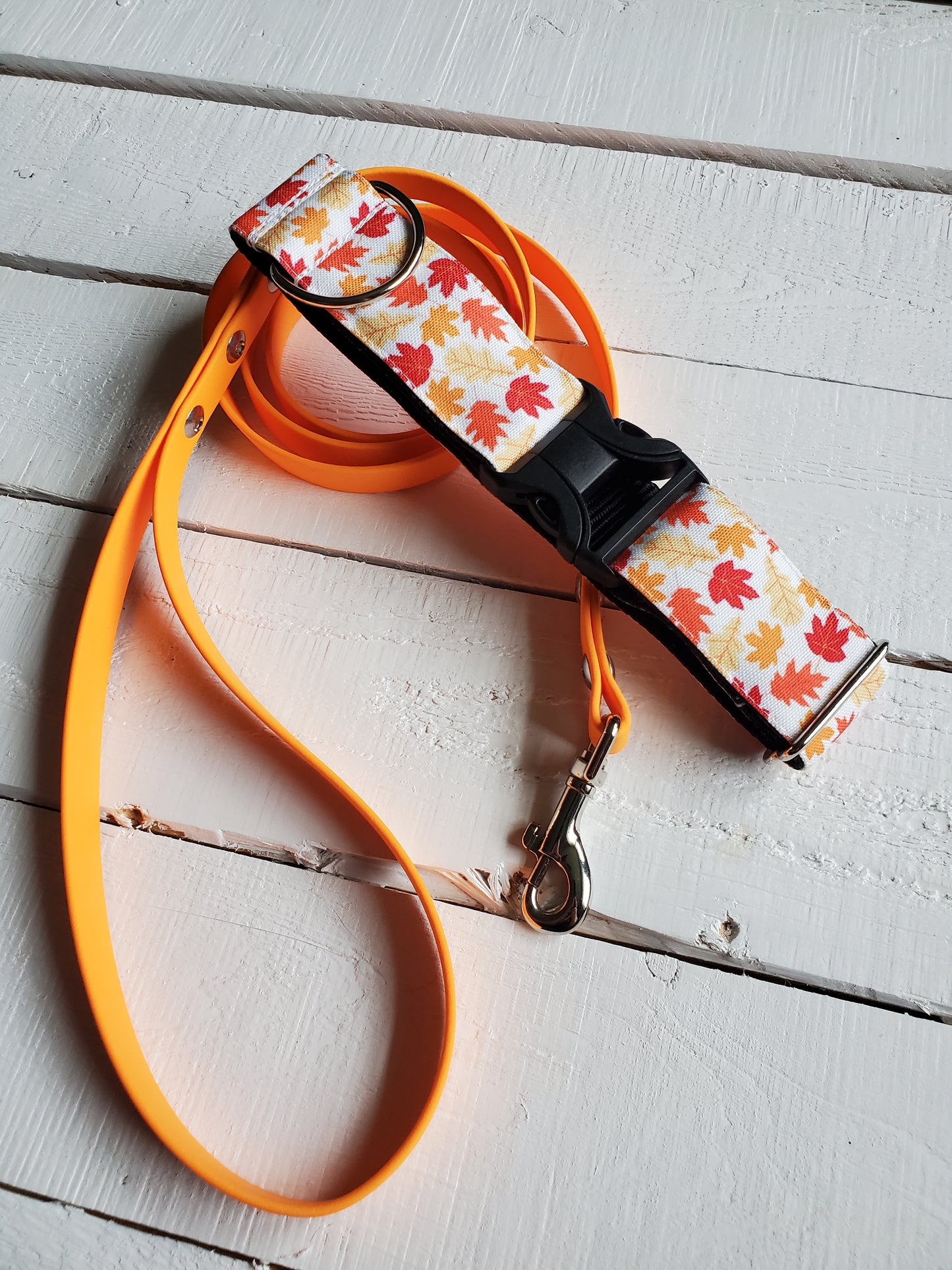 Falling Leaves dog collar