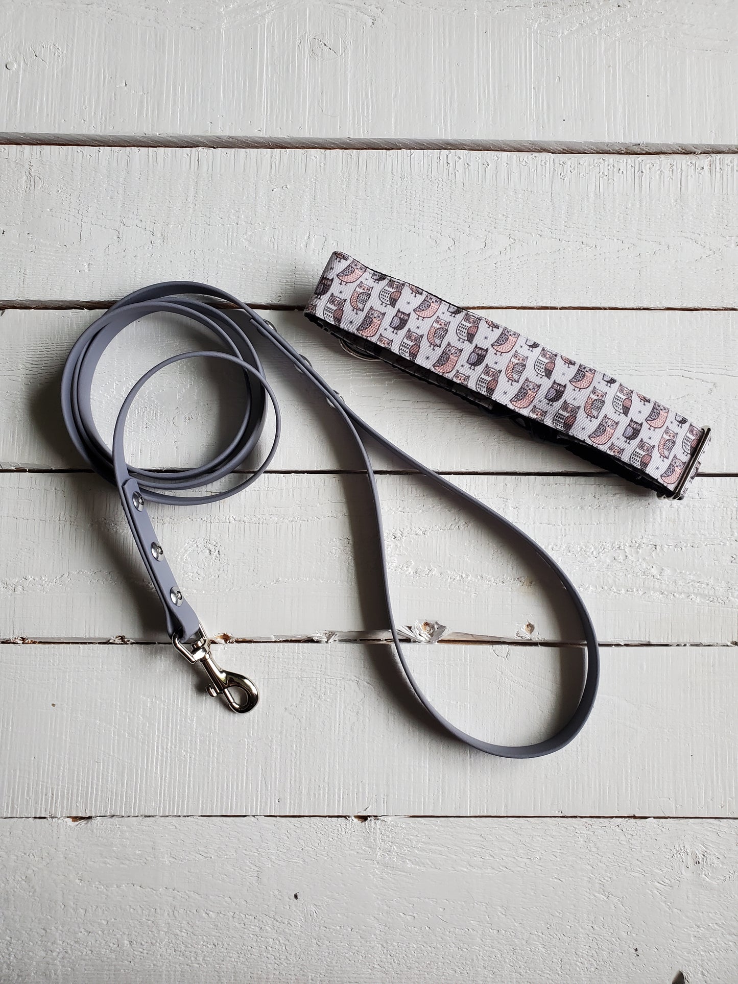 Gray Owls dog collar