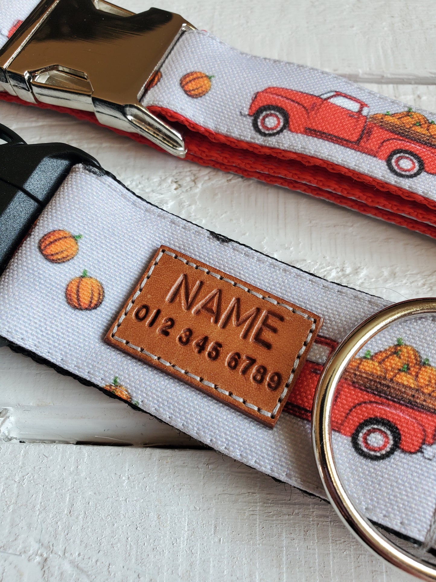 Red Trucks & Pumpkins dog collar