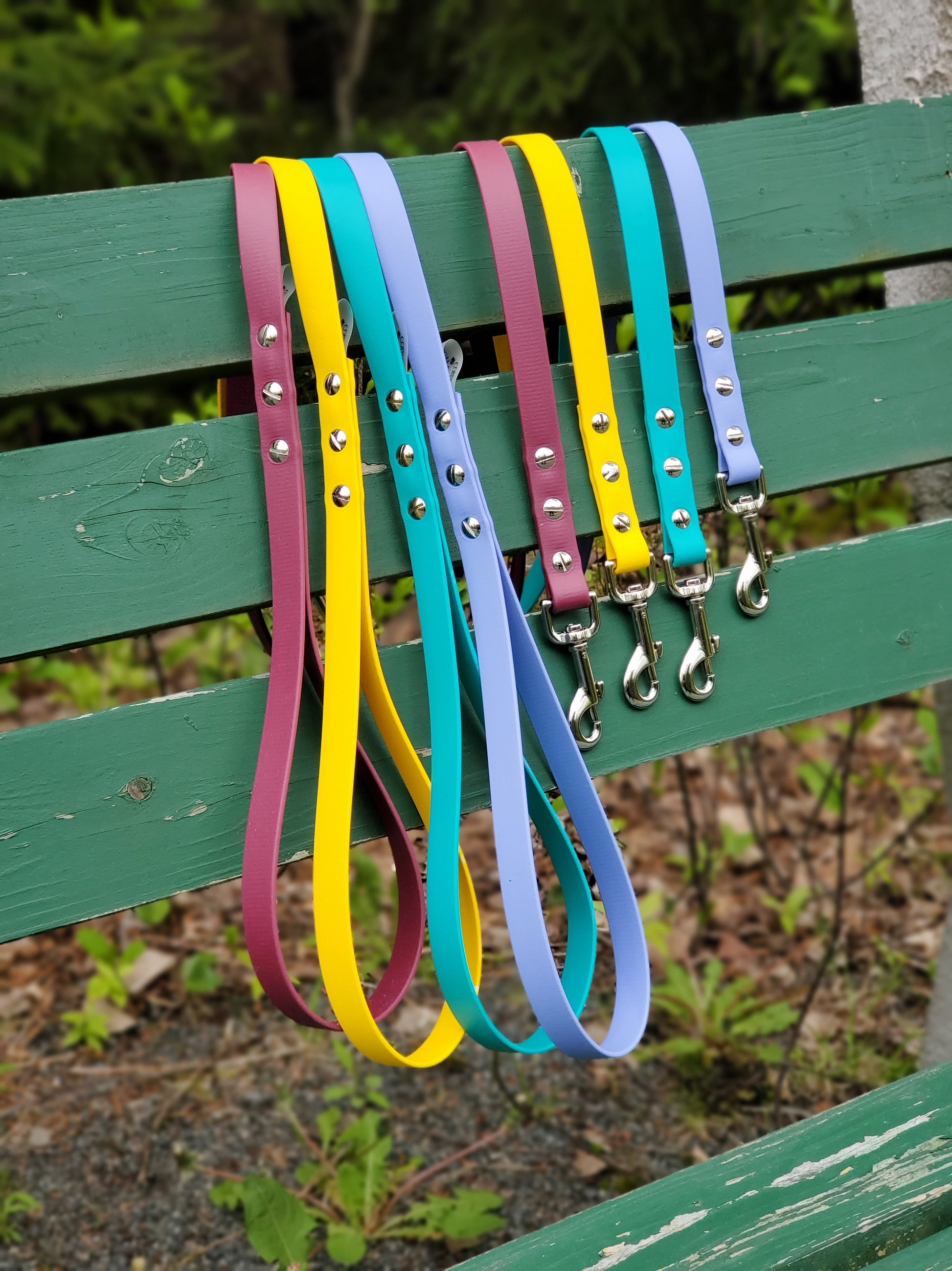 Classic 5ft BioThane® Leash