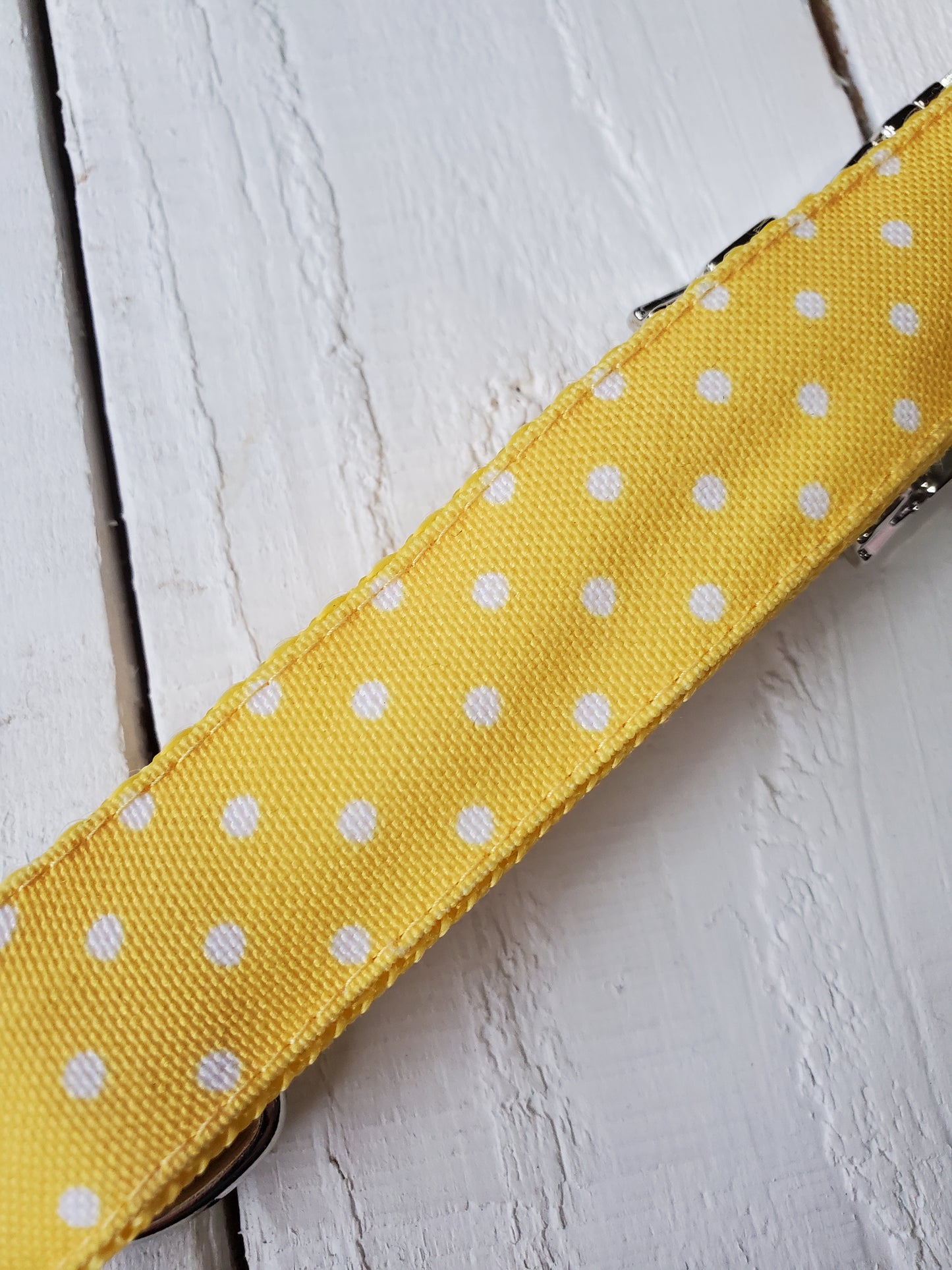 Yellow Polka Dot dog collar